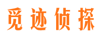 武清市婚外情调查